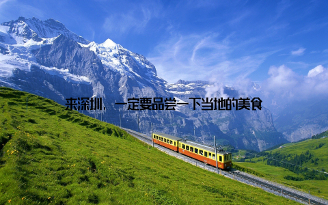 来深圳, 一定要品尝一下当地的美食