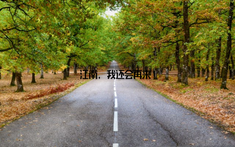 江南, 我还会再来!