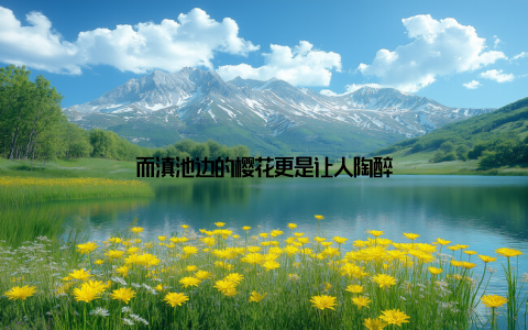 而滇池边的樱花更是让人陶醉