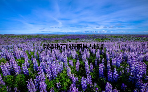 我要推荐的是蔚县古城墙