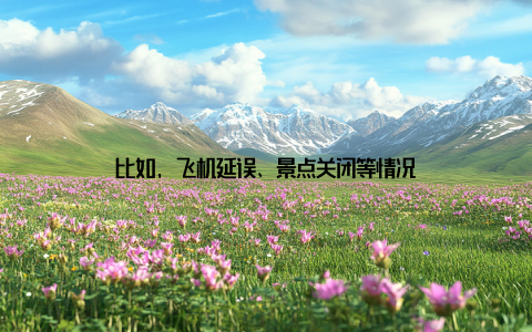 比如, 飞机延误、景点关闭等情况