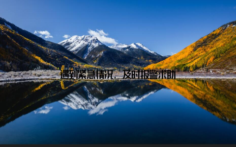 遇到紧急情况, 及时报警求助