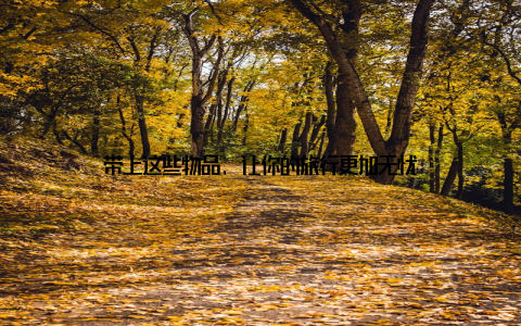 带上这些物品, 让你的旅行更加无忧