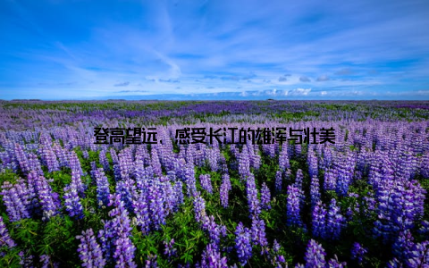 登高望远, 感受长江的雄浑与壮美