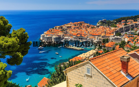 精美的剪纸作品, 让人叹为观止