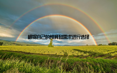 根据自己的预算和需求进行选择