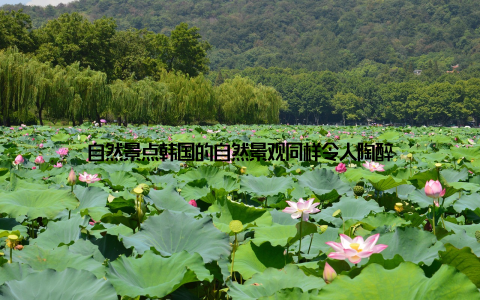 自然景点韩国的自然景观同样令人陶醉