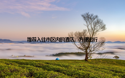 推荐入住市区内的酒店, 方便出行