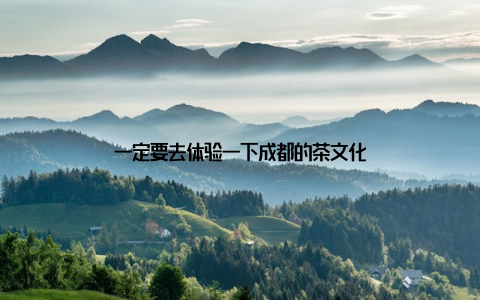 一定要去体验一下成都的茶文化