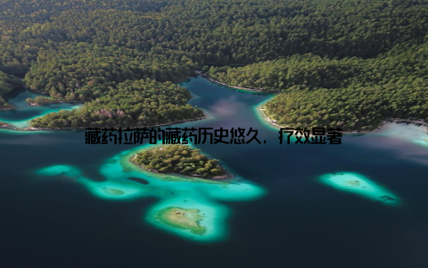 藏药拉萨的藏药历史悠久, 疗效显著