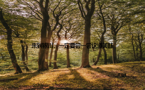 来到银川, 一定要尝一尝这道美味