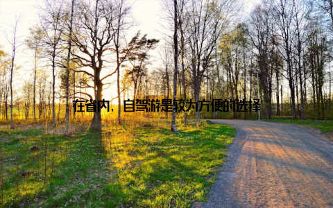 在省内, 自驾游是较为方便的选择