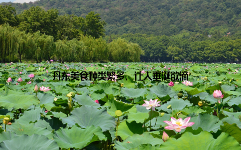 丹东美食种类繁多, 让人垂涎欲滴