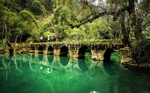 在这里, 你可以品尝到各种美味佳肴
