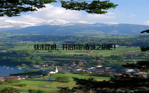 快来昆明, 开启你的春城之旅吧!